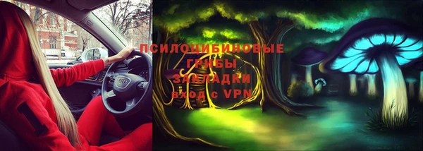 ECSTASY Михайлов