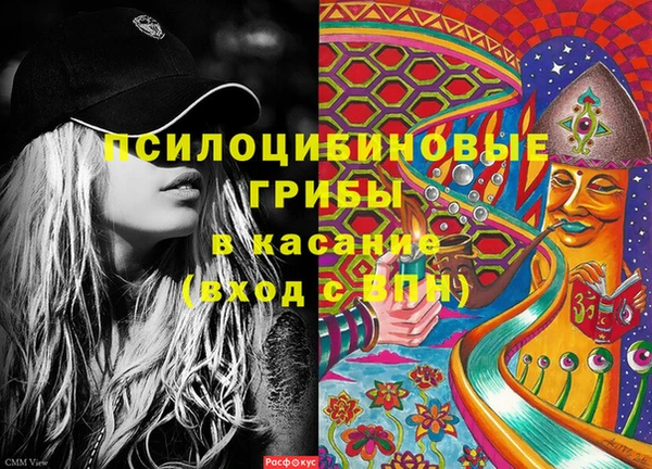 ECSTASY Михайлов
