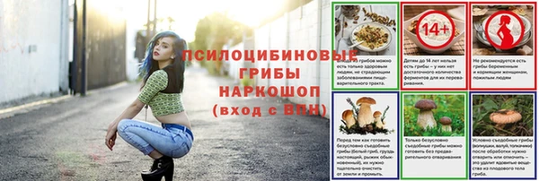 apvp Михайловка