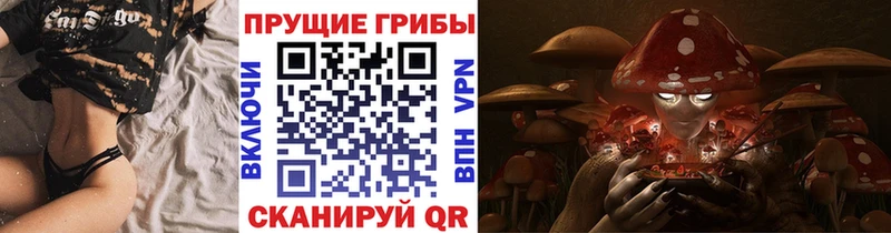 цена   Северодвинск  Псилоцибиновые грибы Psilocybine cubensis 