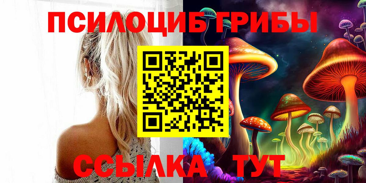 Псилоцибиновые грибы Psilocybe  купить  цена  Северодвинск  Вход с VPN  Псилоцибиновые грибы MAGIC MUSHROOMS 