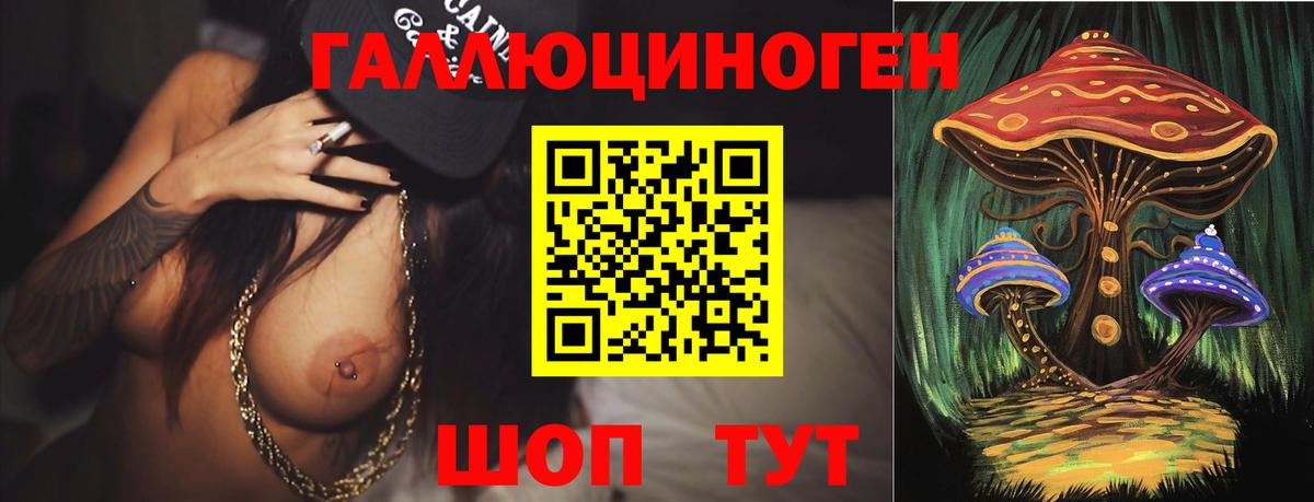 Псилоцибиновые грибы Psilocybe Северодвинск